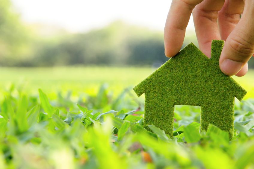 Building an environmentally sustainable lifestyle